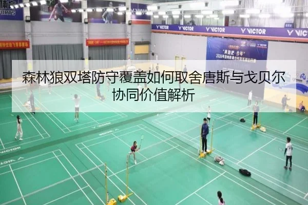 森林狼双塔防守覆盖如何取舍唐斯与戈贝尔协同价值解析